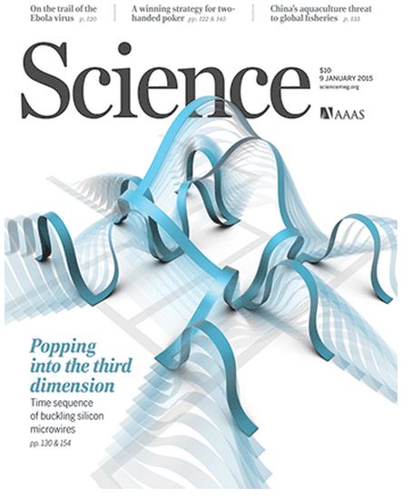 Science-copertina-2015