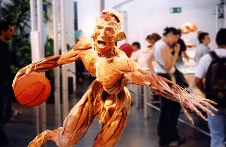 Dr Gunther von hagens, Koerperwelten